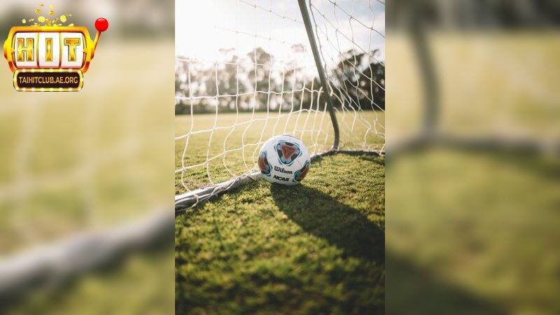 Hiểu rõ và áp dụng tỷ lệ kèo 5