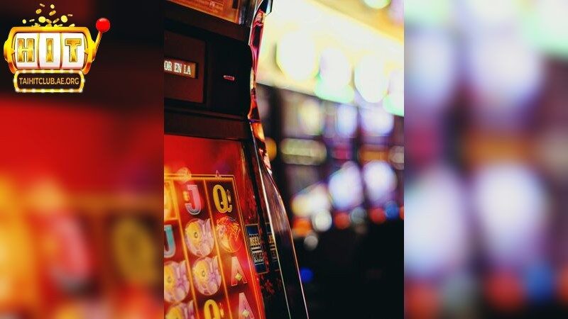 Khám phá thế giới diệu kỳ của Cung hỷ phát tài