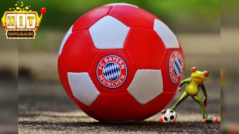 Kiến thức cơ bản về phân tích kèo